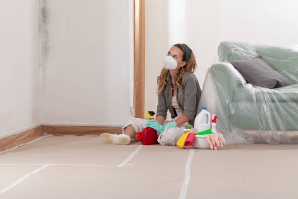 Reliable Mold Remediation contractor in Lake Elmo, MN by 24 Hour Mold Removal